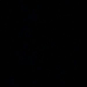 Meet your Posher, Ray